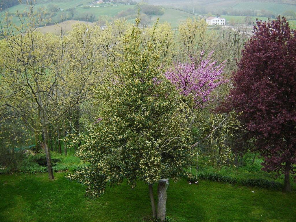 سبوليتو Casale Del Monsignore المظهر الخارجي الصورة